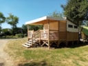 Bungalow Lodge Le Carrélys 27 M² 2 Camere 2019 - Senza Sanitari Bungalow Lodge Le Carrélys 27 M² 2 Camere 2019 - Senza Sanitari