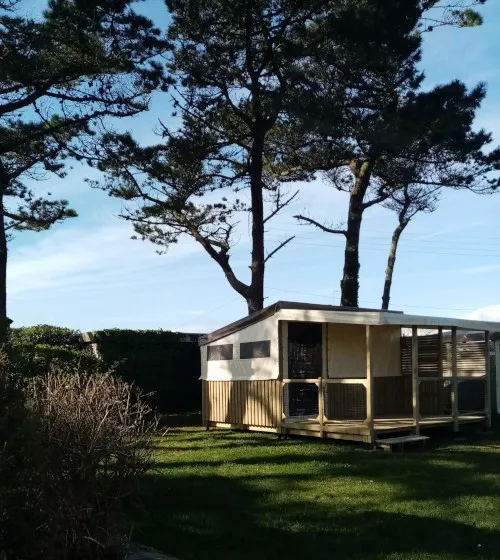 Bungalow Lodge Océan (Sans Sanitaire Privatif) - 27 M² - 2 Chambres