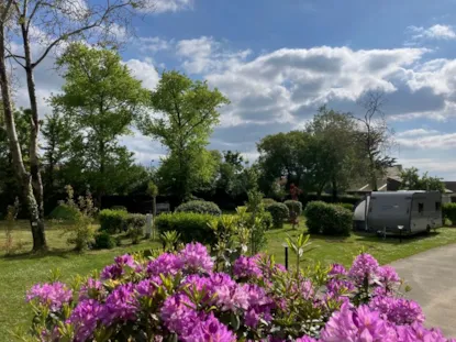 Piazzola Nature (Tenda, Roulotte, Camper / 1 Auto) Senza Elettricità - 80M²