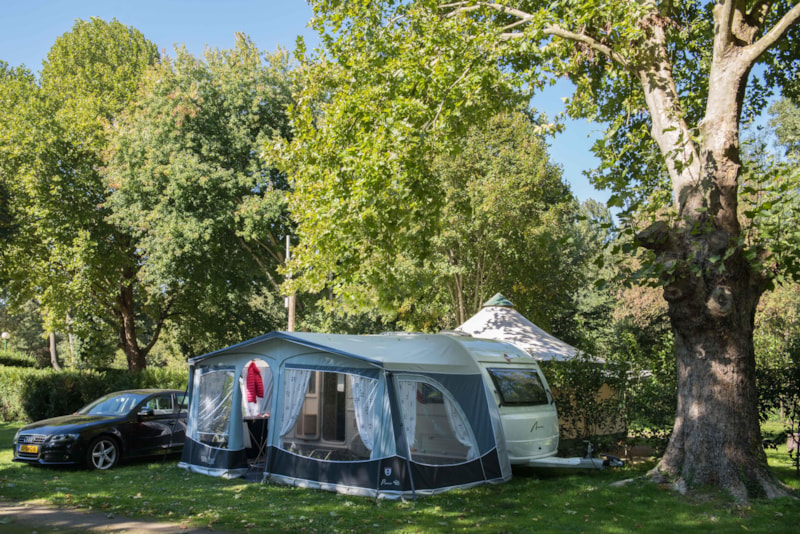 Piazzola Confort (tenda, roulotte, camper / 1 auto / Elettricità 10A)
