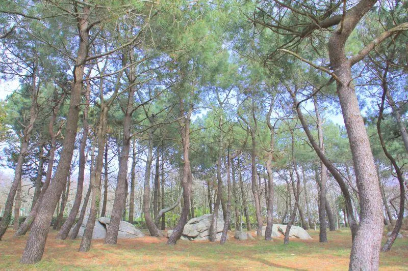 Flower Camping Domaine de Pendruc