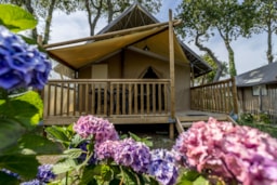 Location - Lodge Jungle Confort 26M² 2 Chambres + Terrasse Couverte + Tv - Flower Camping Domaine de Pendruc