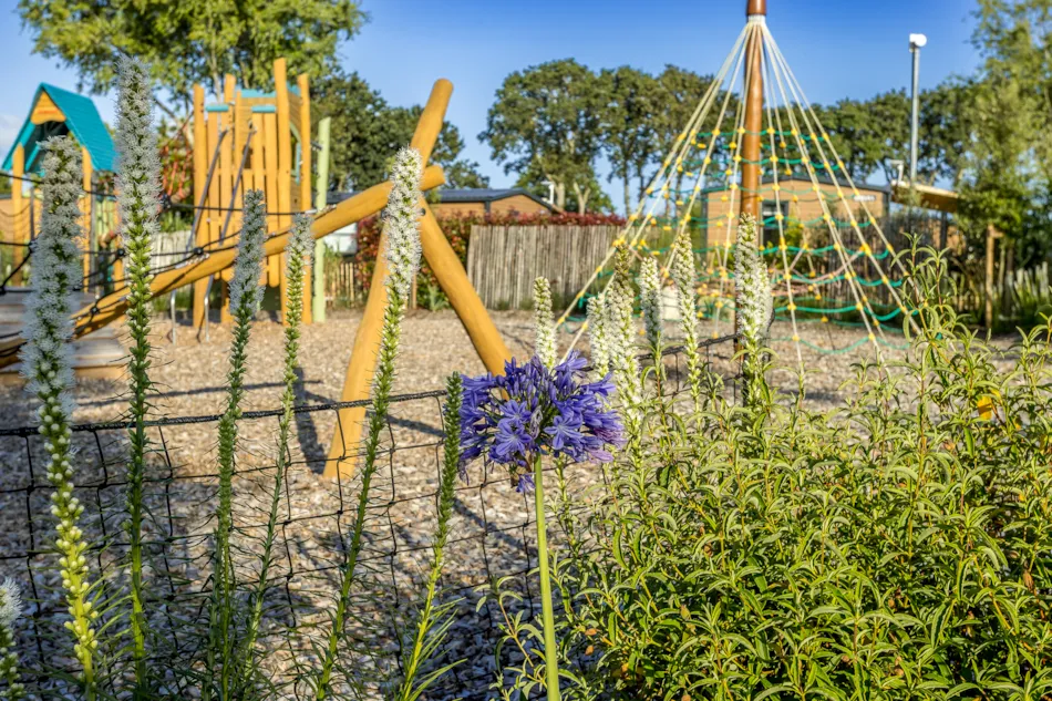 Flower Camping Domaine de Pendruc