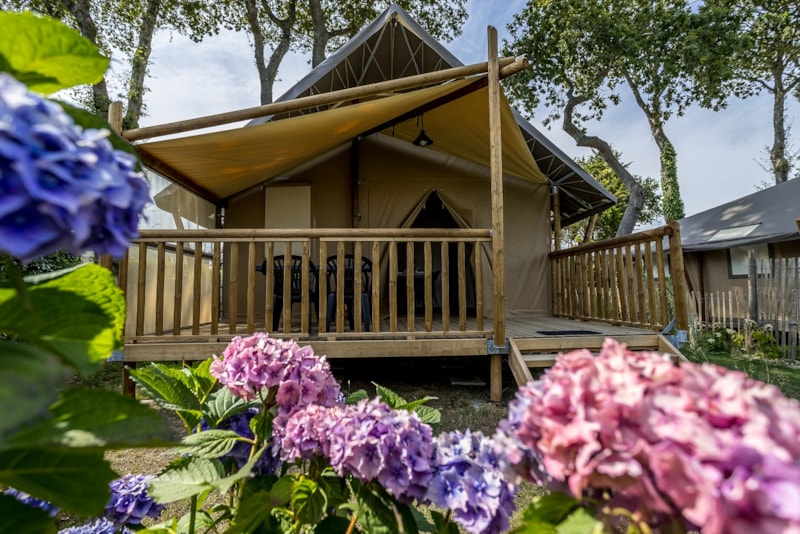 Lodge JUNGLE Confort 34m² 3 chambres / terrasse couverte