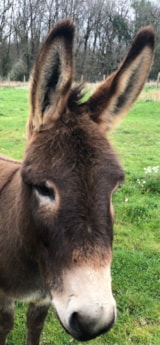 Foto #10 van La Ferme de Sirguet