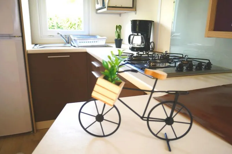 Cottage - Le Classique Basique