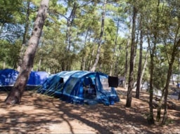 Kampeerplaats(en) - Lente Tent - Airotel Camping de La Côte d'Argent
