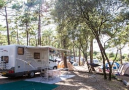 Kampeerplaats(en) - Lente Kampeerauto - Airotel Camping de La Côte d'Argent