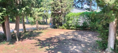 Nature Pitch less than 80m², electricity included,ideal for tents, vans or small caravans — 1