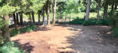 Nature Pitch less than 80m², electricity included,ideal for tents, vans or small caravans — 3
