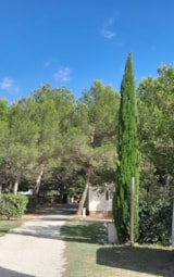 Foto #2 van Camping Fontisson