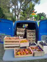 Foto #25 van Camping Fontisson