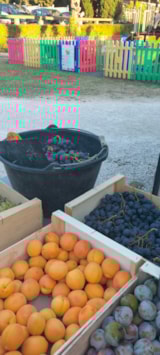 Foto #28 van Camping Fontisson