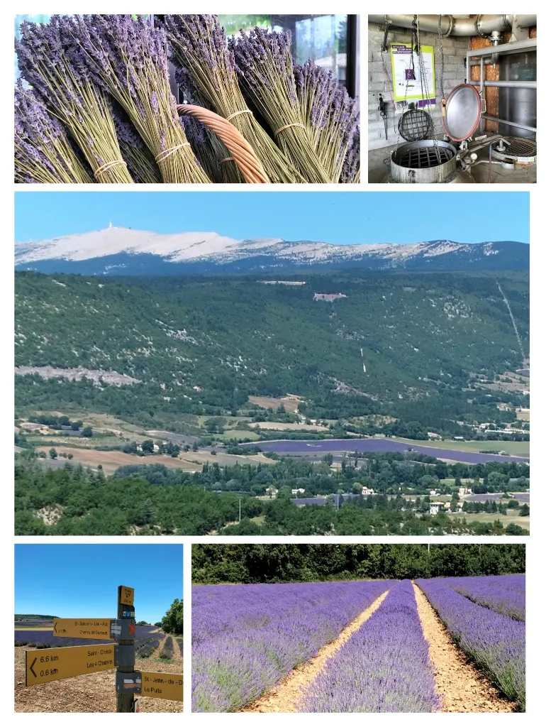 Camping Fontisson