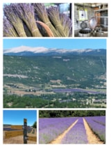 Foto #56 van Camping Fontisson