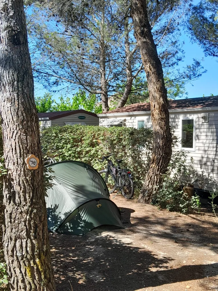 Emplacement Nature Inferieur À 80M²,Éléctricité Inclus,  Idéal Tente , Van Ou Petite Caravane