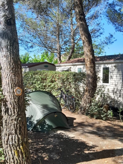 Nature Pitch less than 80m², electricity included,ideal for tents, vans or small caravans — 5