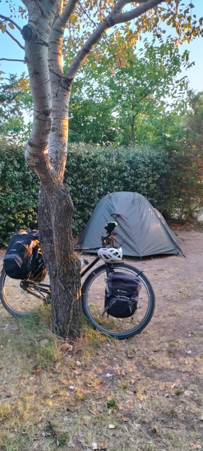 Nature Pitch less than 80m², electricity included,ideal for tents, vans or small caravans — 8