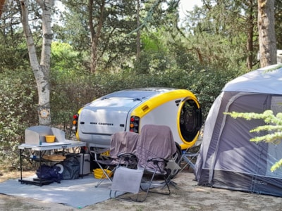 Nature Pitch less than 80m², electricity included,ideal for tents, vans or small caravans — 9