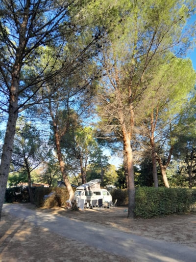 Confort Pitch + 100 m²,electricity included-Vehicle max. 7.50 metres — 7