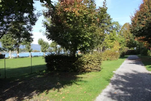 Pitch - Package Pitch Tent + Electricity 10 A + Vehicle - image n°4 - Camping La Chapelle Saint Claude