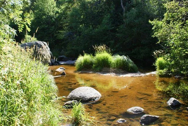 Camping du Pont de Braye