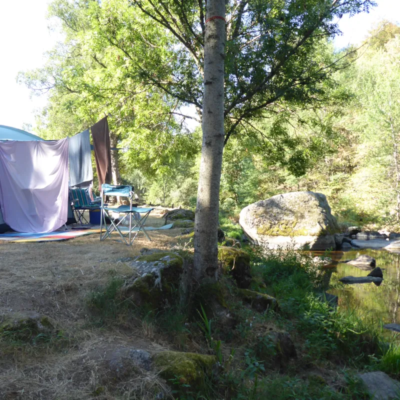 Forfait Bord De Rivière : Emplacement + 1 Voiture + 1 Tente/Caravane/Camping-Car (29 Au 35 Et N°20)