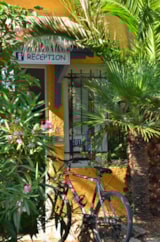 Foto #16 van Camping Le Mas du Padre