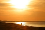 Foto #29 van Camping Mas des Lavandes
