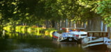 Foto #79 van Camping Mas des Lavandes