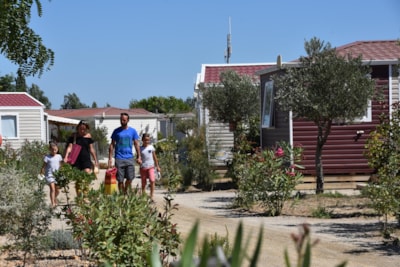 Mobil-home CONFORT 3 bedrooms SATURDAY — 4