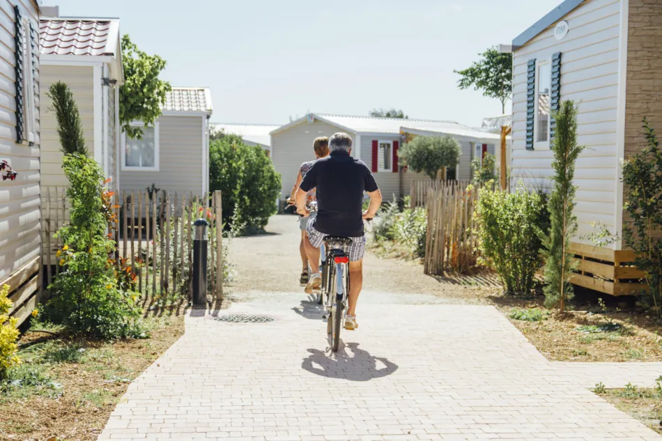 Camping Mas des Lavandes