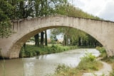 Foto #83 van Camping Mas des Lavandes
