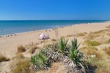 Foto #70 van Camping Mas des Lavandes