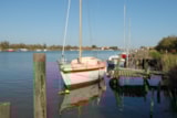 Foto #61 van Camping Mas des Lavandes