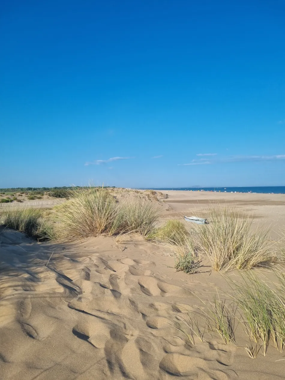 Camping Mas des Lavandes