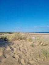 Foto #24 van Camping Mas des Lavandes