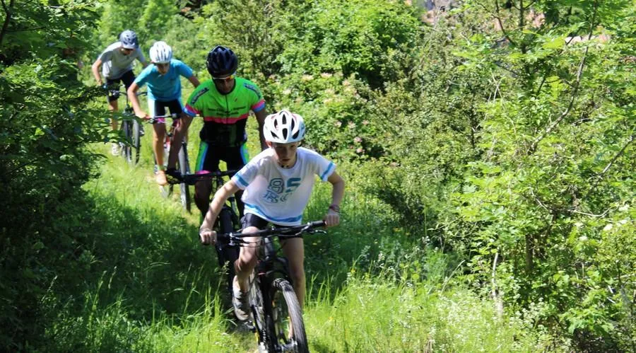 Flower Camping Le Val de l'Arre