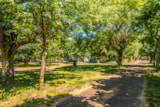 Foto #3 van Flower Camping Le Val de l’Arre