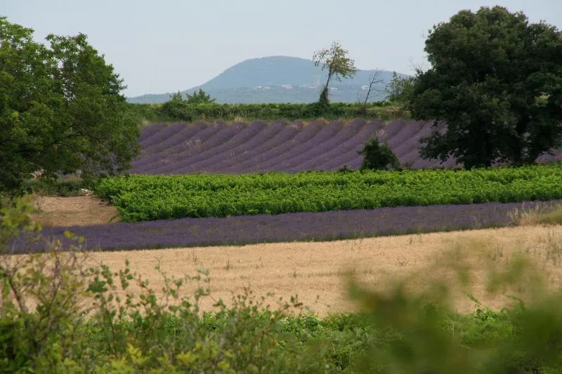 Domaine de La Sablière - naturiste