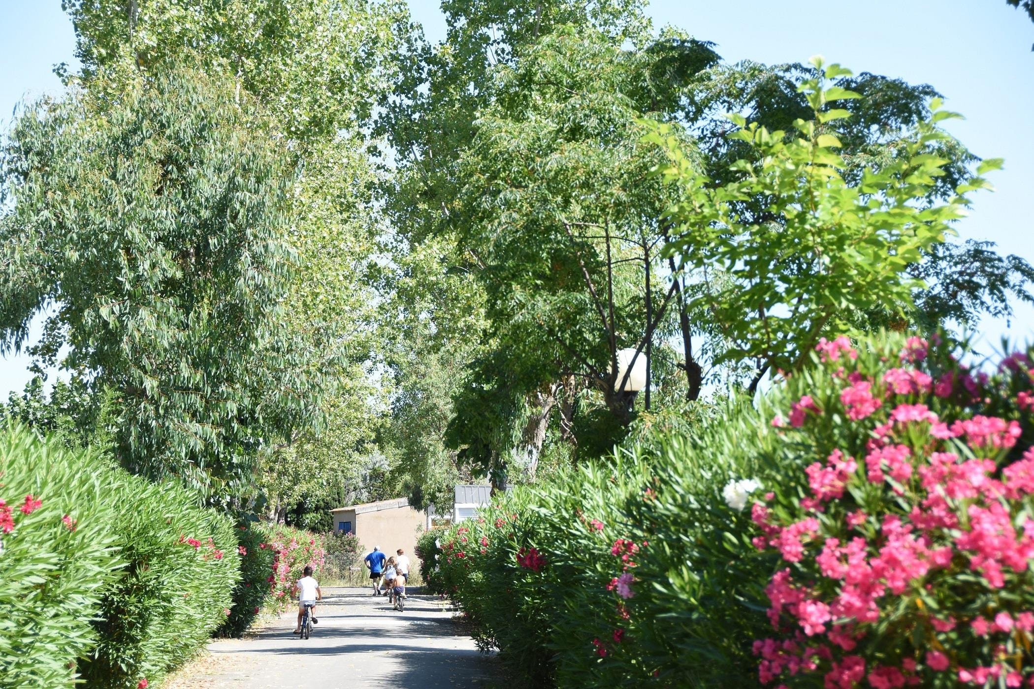 Camping & Spa CAP SOLEIL — Photo 8