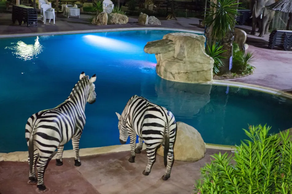 Camping & Spa CAP SOLEIL