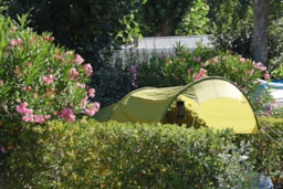 Pitch - Pitch Confort Duo - Camping & Spa CAP SOLEIL