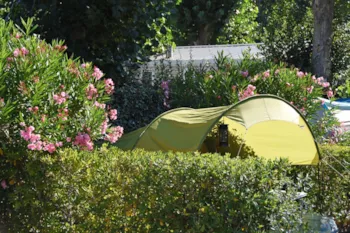 Kampeerplaats(en) - Kampeerplaats Confort Gezin - Camping & Spa CAP SOLEIL