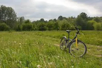 Stellplatz - Stellplatz (Fahrrad) - Camping - Caravaning Les Peupliers