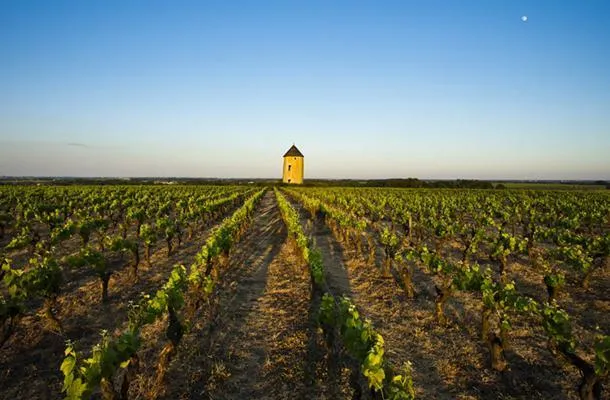 Camping Seasonova du Chêne - image n°39 - UniversalBooking