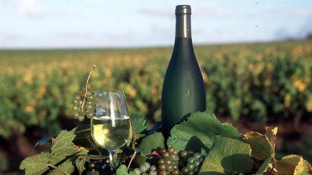 Camping Seasonova du Chêne - image n°35 - UniversalBooking