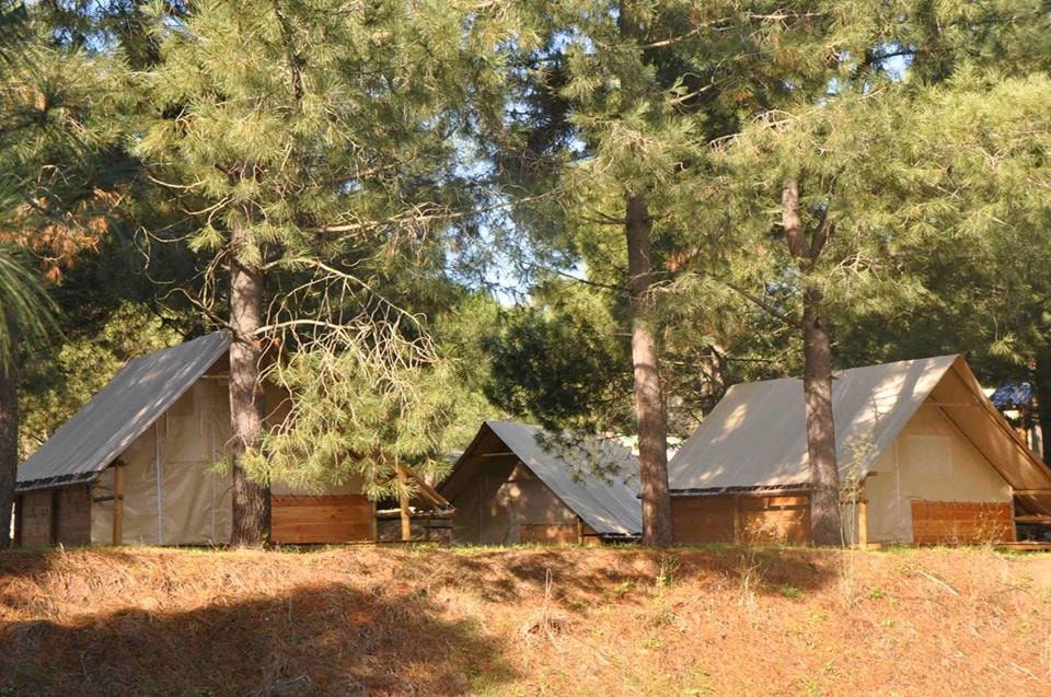Camping OLVA LES EUCALYPTUS — Photo 2