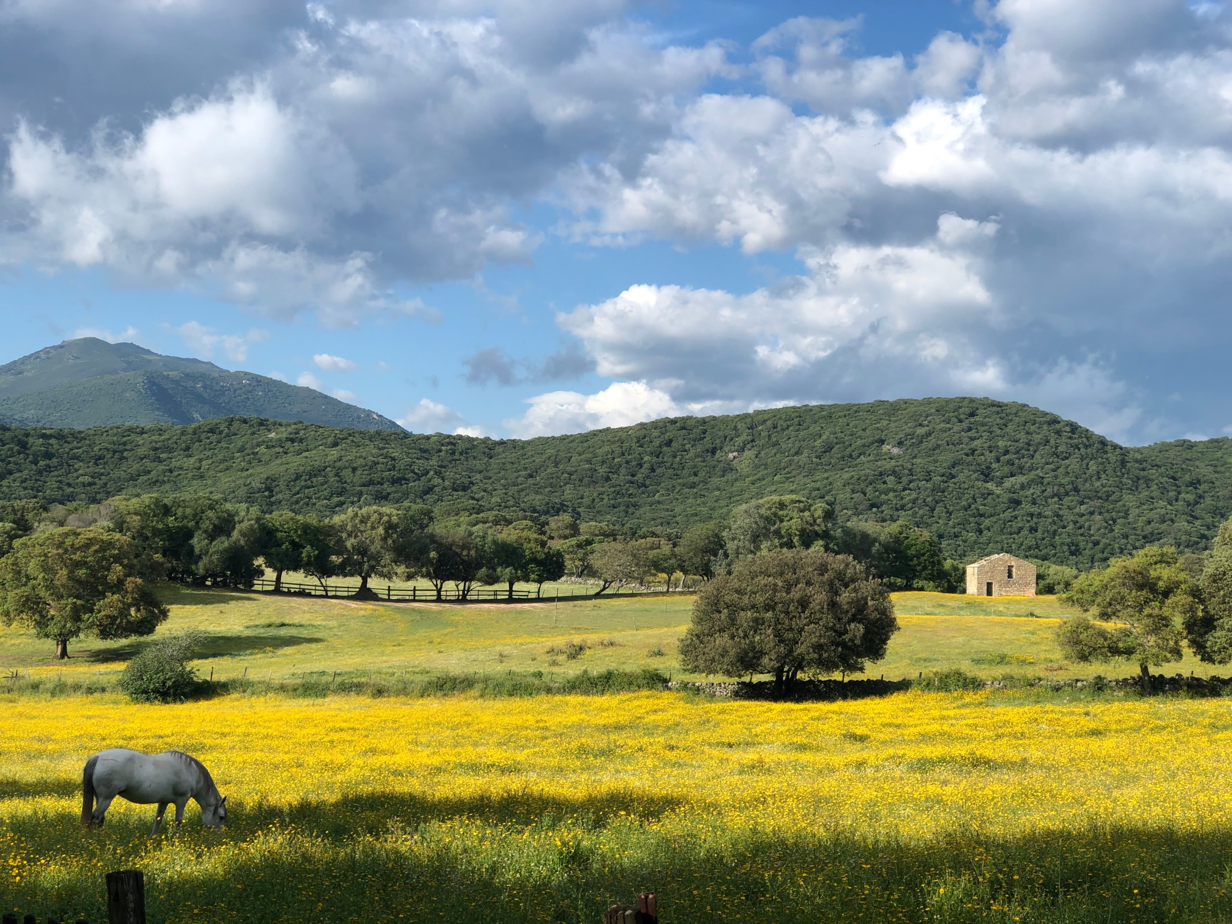 Camping OLVA LES EUCALYPTUS — Photo 5