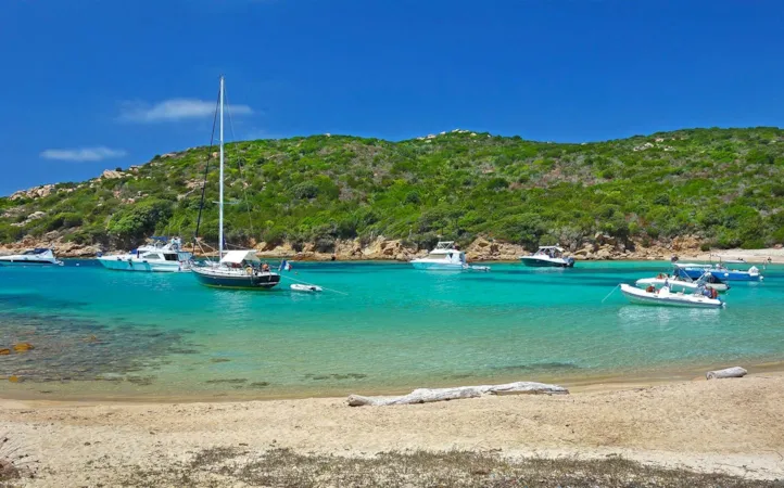 Camping OLVA LES EUCALYPTUS - image n°1 - Camping Direct